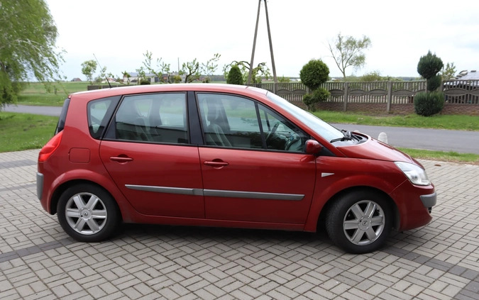 Renault Scenic cena 8400 przebieg: 225209, rok produkcji 2007 z Brześć Kujawski małe 37